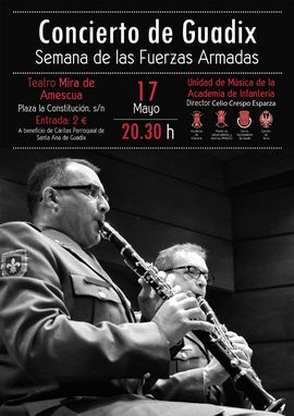 Cartel promocional del concierto en Guadix 