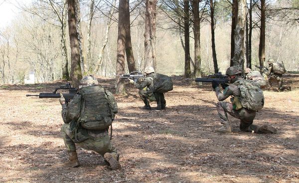 Combat practice in woods and forest