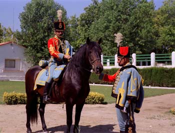 Cavalry Brigade "CASTILLEJOS"