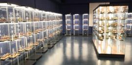 Nueva sala del Museo de Miniaturas Militares de Jaca