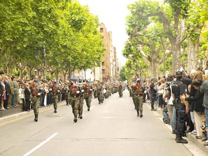 Actos del Día de las Fuerzas Armadas 2012