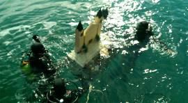 Colocación del belén submarino en Melilla